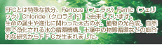 FFCとは特殊な鉄分、Ferrous(フェラス)Ferric(フェリック)Chloride(クロライド)に由来しています。
生命の誕生や進化に関わった太古の水、植物の光合成、自然界で浄化される水の循環機構、土壌中の物質循環などの総合的な研究からFFCが生まれました。
FFCとは特殊な鉄分、Ferrous(フェラス)Ferric(フェリック)Chloride(クロライド)に由来しています。
生命の誕生や進化に関わった太古の水、植物の光合成、自然界で浄化される水の循環機構、土壌中の物質循環などの総合的な研究からFFCが生まれました。