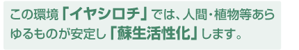 埋炭イヤシロチ